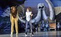 Lionking 0469